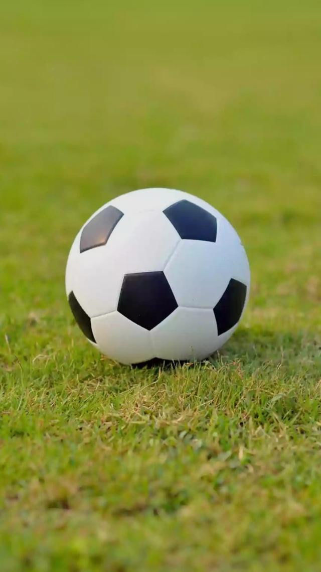 今天胜负彩结果和奖金查询平台界面展示